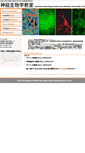 Mobile Screenshot of neurobiol.m.u-tokyo.ac.jp